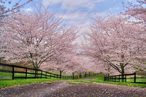 �簲������ķ��򣬸��ʺϷ��� (9)