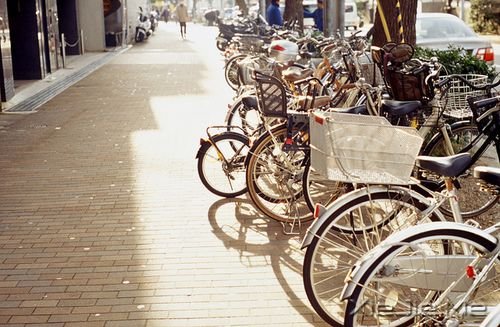 ����������ߵ�·���������ķ羰 (10)