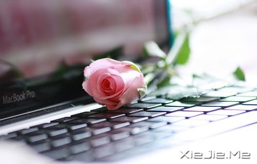 早安心语:看清自己比读懂他人,更重要 (8)