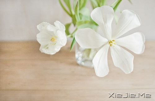 早安心语:你生活在别人的眼神里,就迷失在自己的心路上 (8)