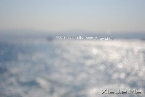 �簲���������ҵ��ģ�������ס������ (2)