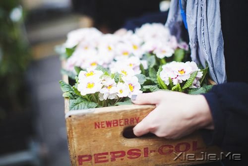 晚安心语:有些话,适合烂在心里 (2)