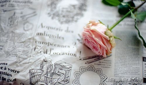 早安心语:你这么害怕明天,怎能过好今天 (4)