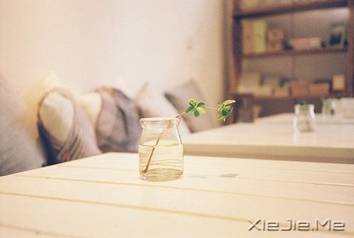 早安心语:有些事难以左右,有些话难以开口 (3)