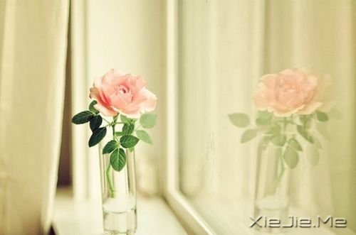 早安心语:生活,不求深刻,只求简单 (4)