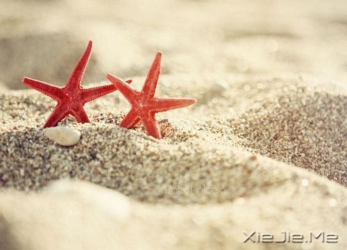 早安心语:跟随自己的内心与直觉 (10)