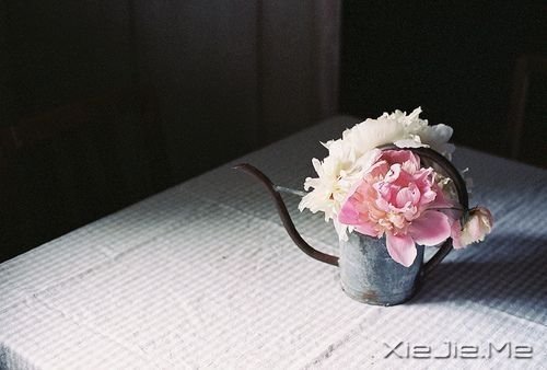 晚安心语:你比自己想象中要坚强 (3)