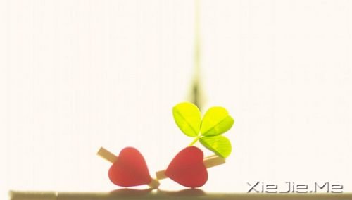 �簲���������Ϊ��ִ�ţ�������Ϊ��ֵ�� (6)