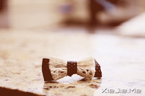 早安心语:永远面朝阳光,阴影就会被甩到后面 (5)