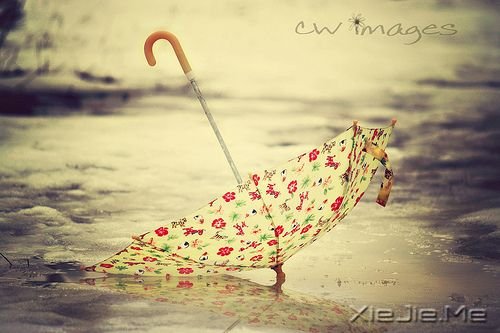 早安心语:别小看我,我没那么脆弱 (3)