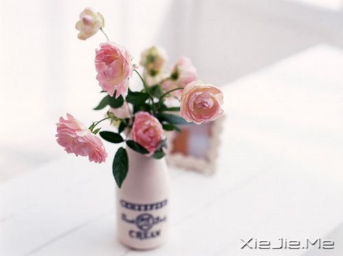 晚安心语:眼泪是心里的毒,流出来就好了 (1)