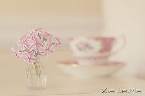 早安心语:日久不一定生情,但必定见人心 (6)