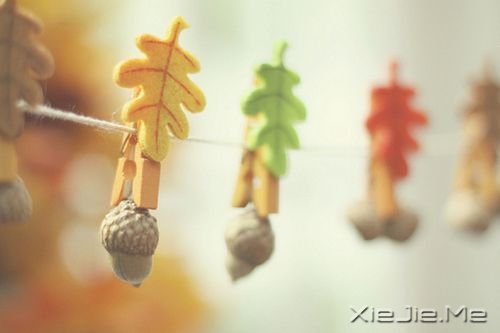 ������������õĳ�ŵ�������Ұ��㣬�����һ�һֱ������ (8)