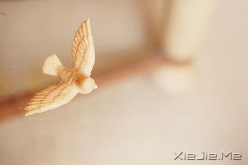 早安心语:生活不是林黛玉,不会因为忧伤而风情万种 (4)