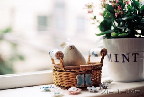 早安心语:不要为了任何人任何事折磨自己 (2)