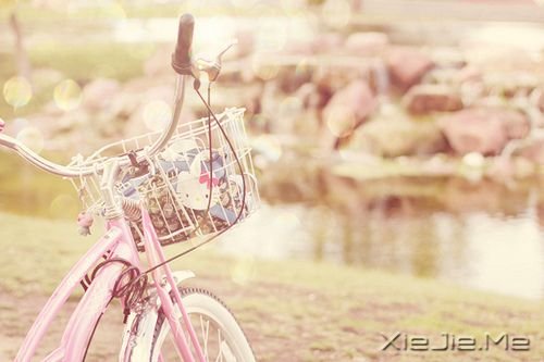 晚安心语:我最需要的就是,你需要我 (2)