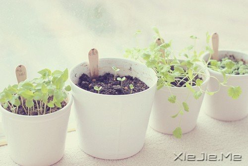 幸福就在那一瞬间