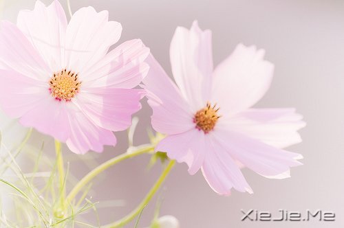 经典语录:与其埋怨世界,不如改变自己 (1)