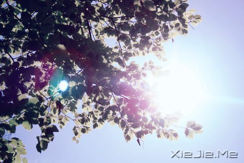 经典语录:一个人的天荒地老 (5)