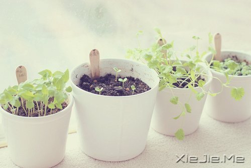 说说你小时候的心酸事