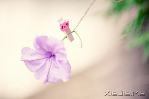 ��������һλ���˵ľž仰 (5)