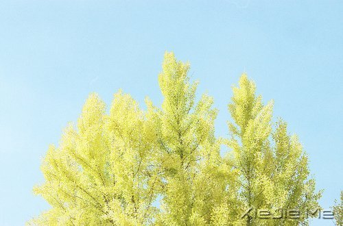 错过了那一刻,就真的再也不会出现了