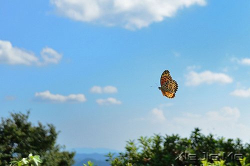 你的期望薪资是多少