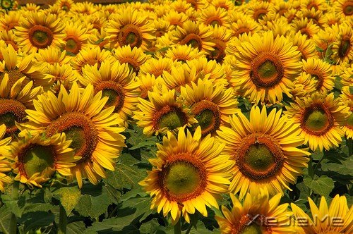 һ�������ˣ�����ȥԶ�� (4)