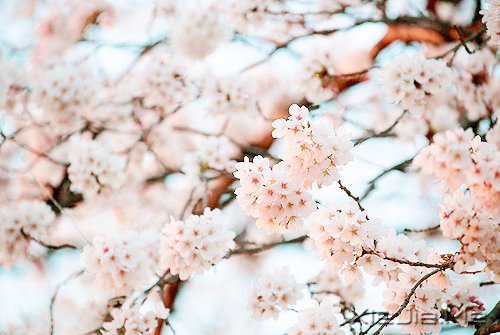 马年和自己的10个约定 (5)