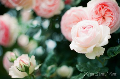 写人仅两笔,做人需一生 (2)