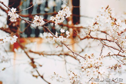 写人仅两笔,做人需一生 (6)