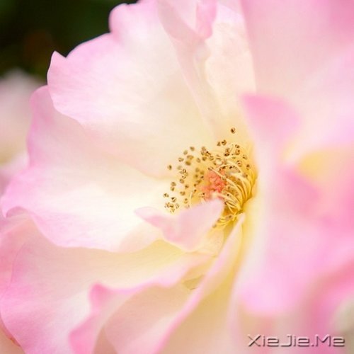 生活的九大智慧 (8)