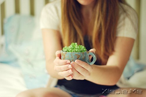 2014年送自己的十句话 (3)