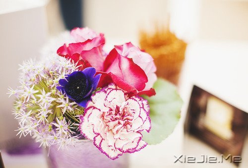 经典语录:输什么也不能输了心情 (3)