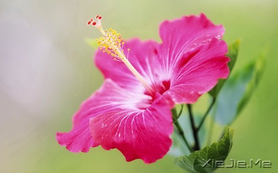 文字:要少做的十件事 (9)