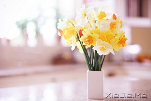 你不可不知的人生(文/刘墉)