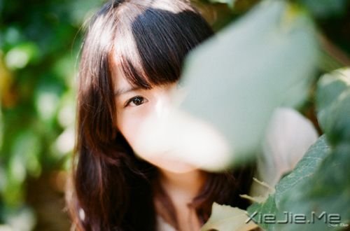 ���������һ�����磬���ҽ���ע��һ������Ϸ (2)