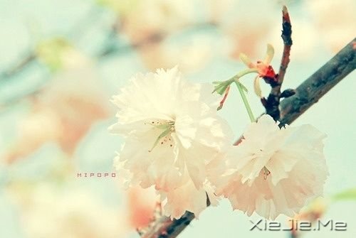 关于幸福的20个瞬间 (2)