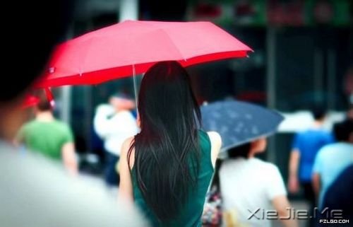 ���,���粻�� (6)