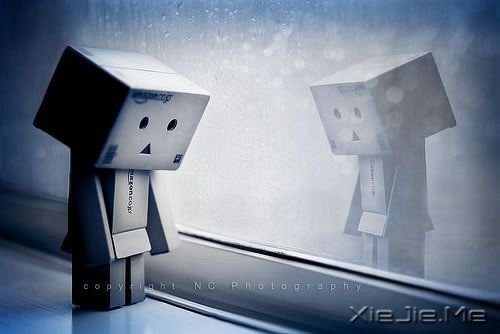 ���,���粻�� (7)