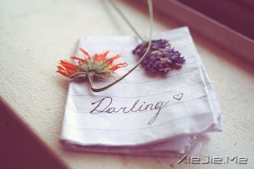 美好的旧日时光 (2) 治愈系图片 (2)