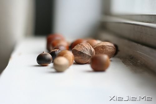 美好的旧日时光 (4) 治愈系图片 (4)