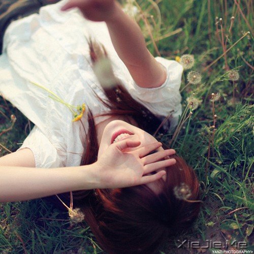 ��Ҫ��������