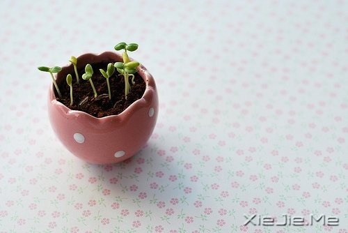 ���������һ��